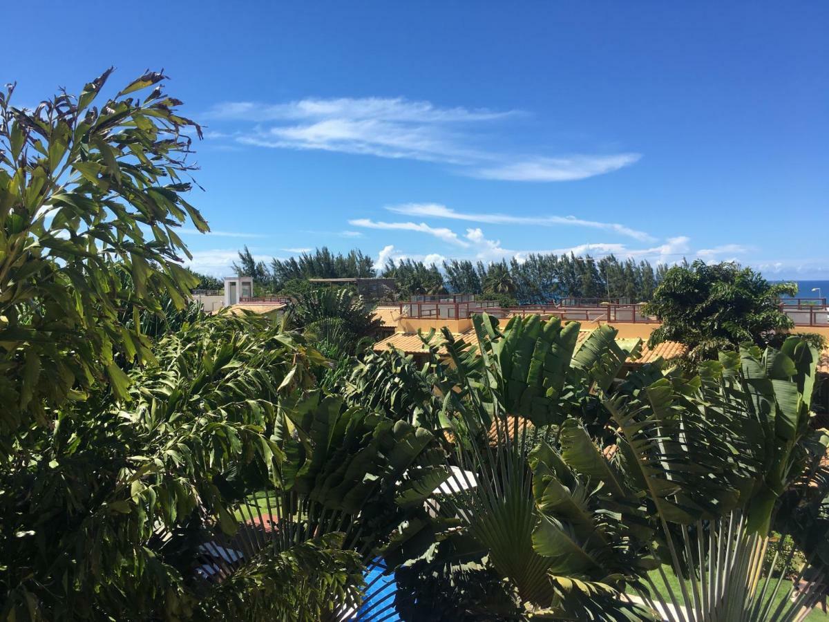 Chalé Carpe Diem - Pipa Beleza Praia de Pipa Buitenkant foto
